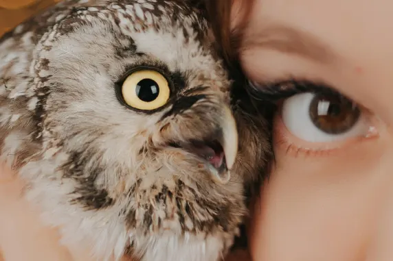 Casino Palace of Chance Tugi